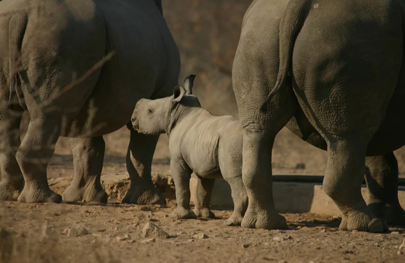Namíbia Luxo by Wilderness